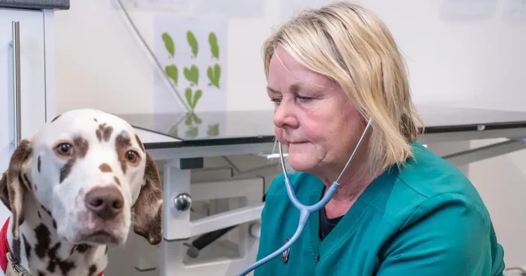 RVN celebrates ‘incredibly rewarding’ career as she hits 40-year milestone