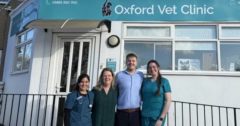 Cat-only clinic expands services to dogs as it celebrates 20th anniversary