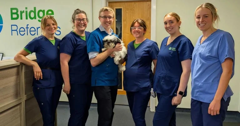 Laparoscopic portosystemic shunt is a success for Cooper