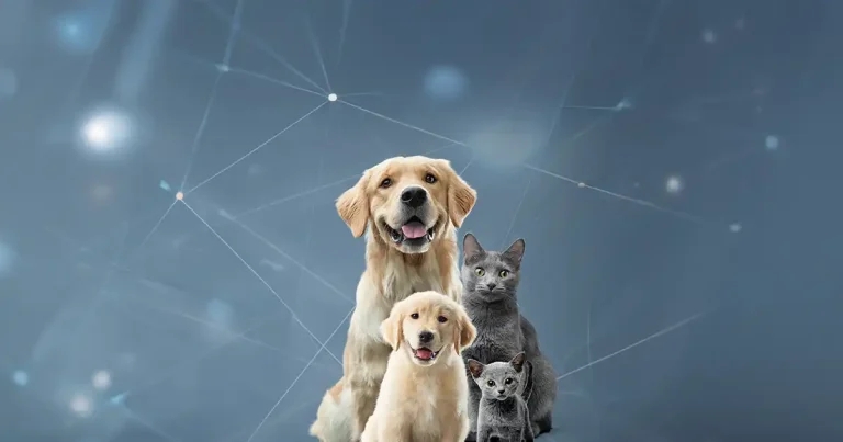 Human-animal bond and the future of vet care under spotlight at Purina summit