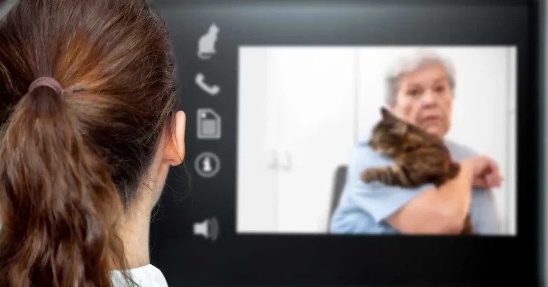 AVMA hits out at ‘pet care gap’ claims as telemedicine row deepens