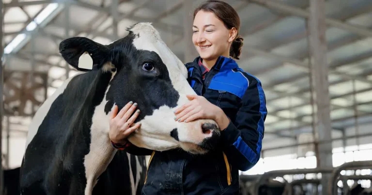 ‘We’re here to stay’, say mixed practice vets