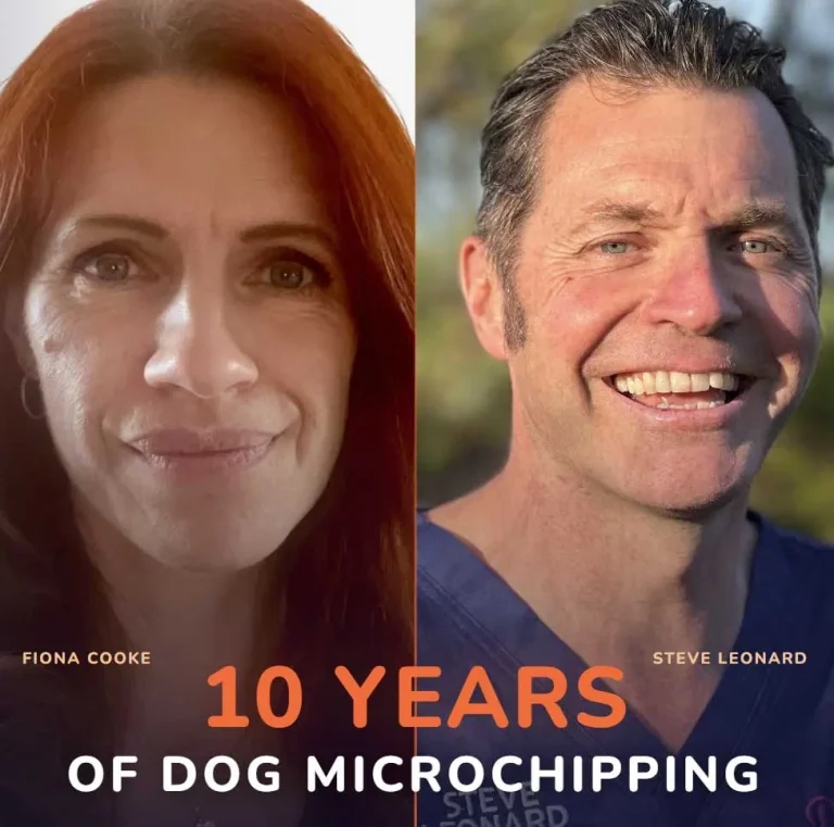 Vet Times Extra: Ten years compulsory UK dog microchipping – with Steve Leonard and Fiona Cooke