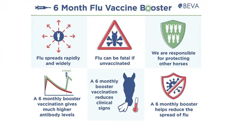 Equine vets urged to discuss 6-month equine flu boosters with clients