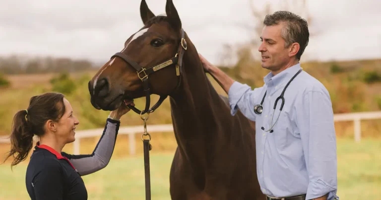 Equine vets invited to free communication CPD event