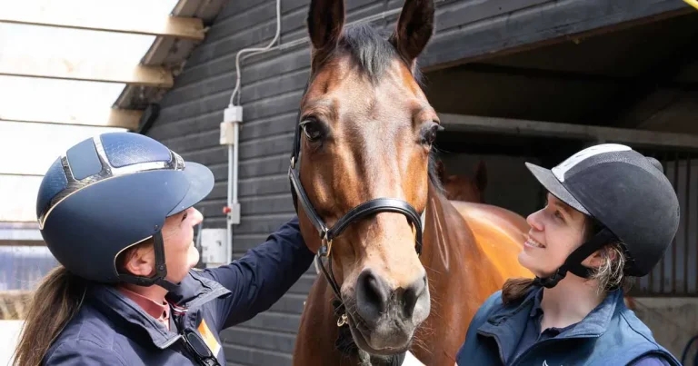 CVS Equine launches health and safety programme