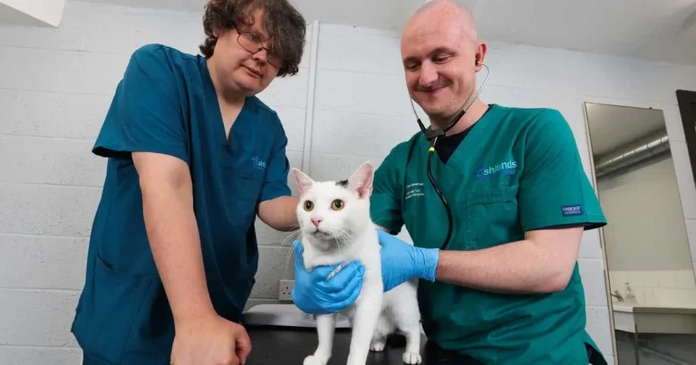 Herriot heritage inspires North Yorkshire vet group’s pop-up clinic