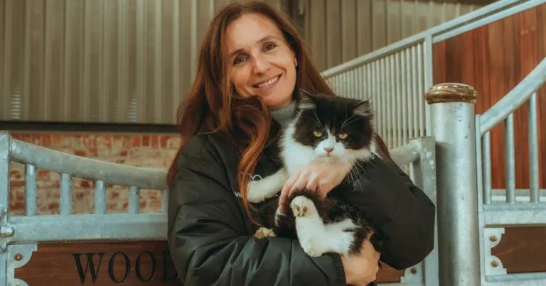 Vet makes microchip plea over dog theft data