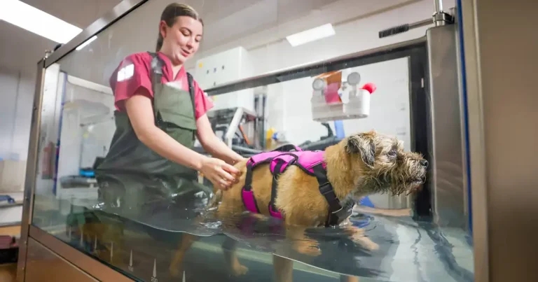 County Durham practice launches hydrotherapy service