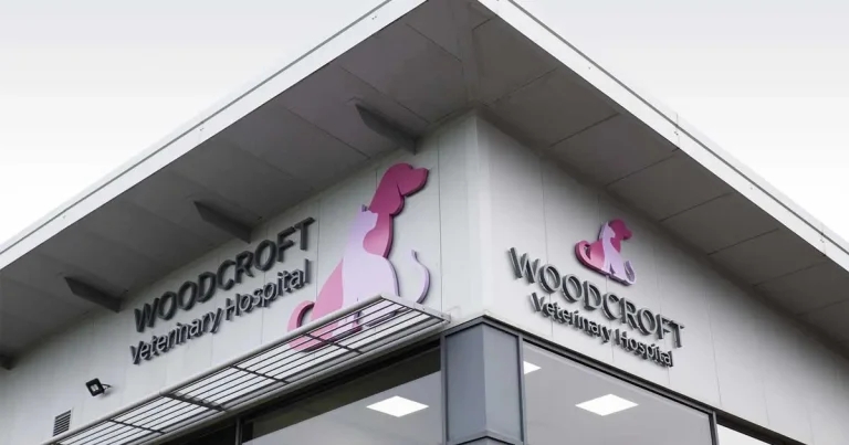 Practice Profile: Woodcroft Vets