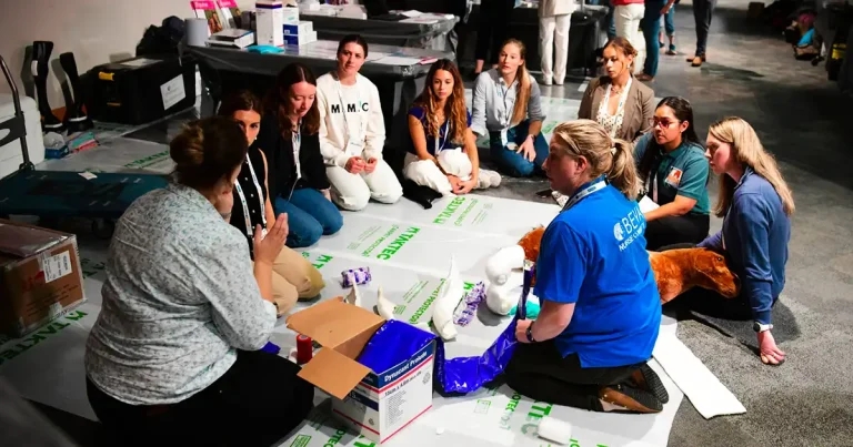 BEVA unveils dedicated congress nursing stream