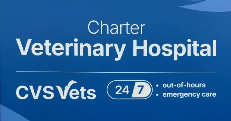 CVS Group announces 24/7 out-of-hours rebrand