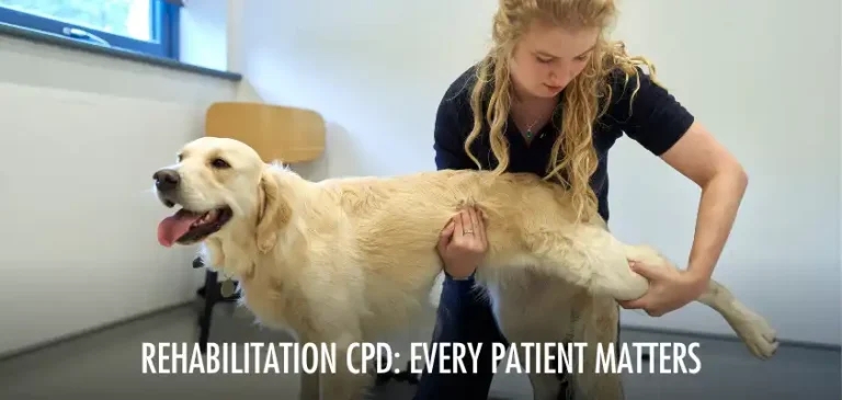 Free CPD webinar on musculoskeletal health