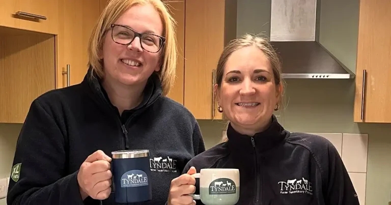 Tyndale Vets launches ‘Wellness Week’ initiative