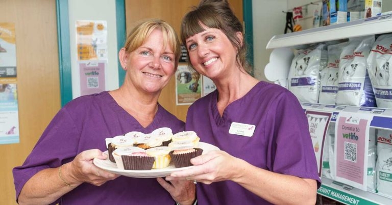 Woodcroft Vets celebrates 50th anniversary with community open day