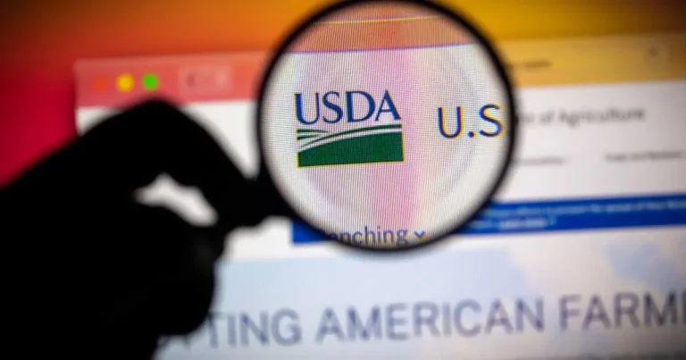 USDA screwworm response blasted after Texas case confirmed