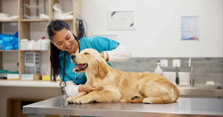 Exotic parasites from outside of Europe being seen in UK dogs