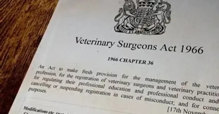 Veterinary ombudsman proposed in new VSA outline