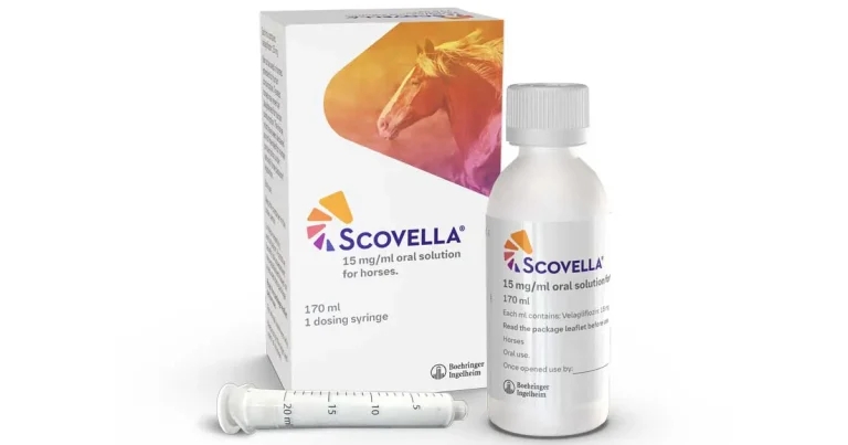 Boehringer Ingelheim unveils new equine laminitis treatment