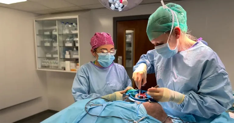 Northern Ireland Veterinary Specialists announces name change