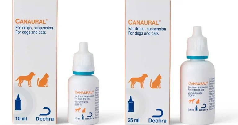 Otitis externa ear drop suspension back in stock