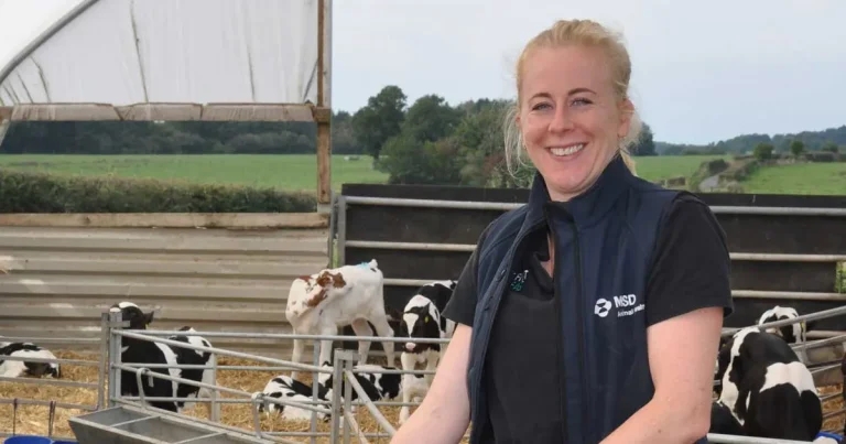 Calf vaccine call as antibiotic use rises