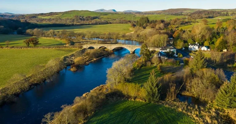Classical BSE case confirmed on Scottish farm
