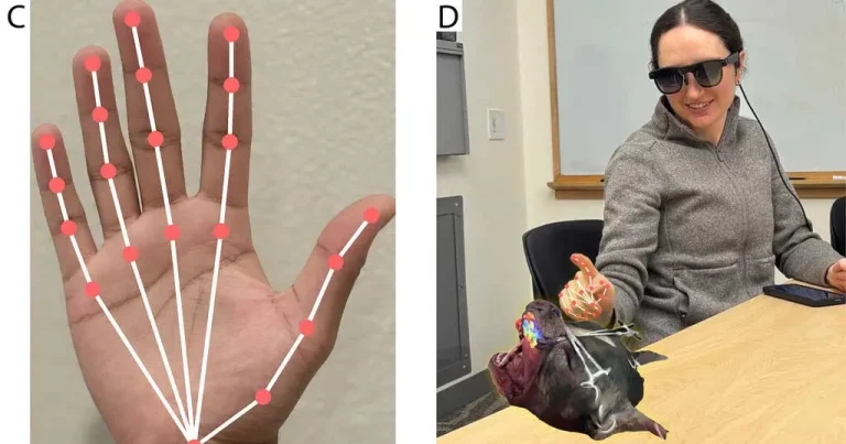 Study shows ‘potential’ of augmented reality to aid vets in surgery