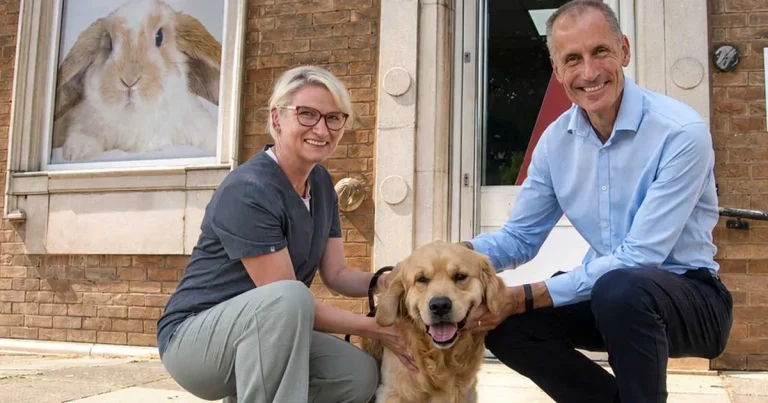 Vets urged to lobby MPs over legislative reform