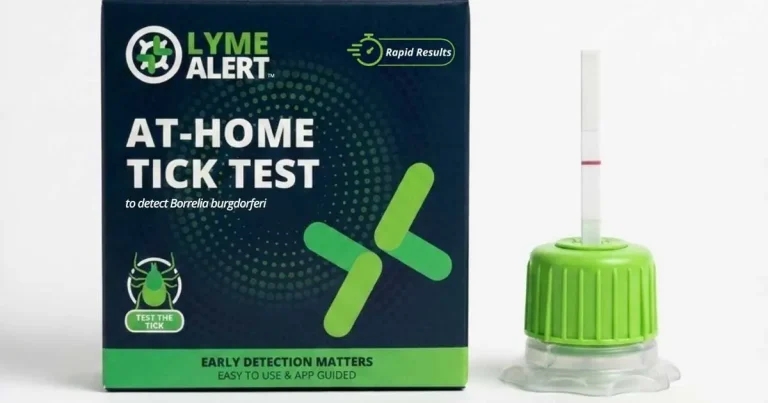 Tick warning issued as Lyme disease cases rise