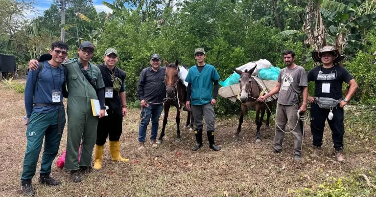 Charity supports emergency vet response after Colombia wildfires