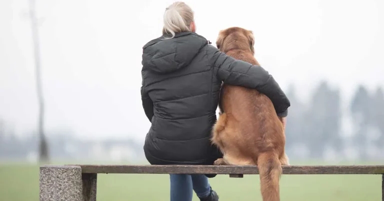 Study urges owner support in canine epilepsy care