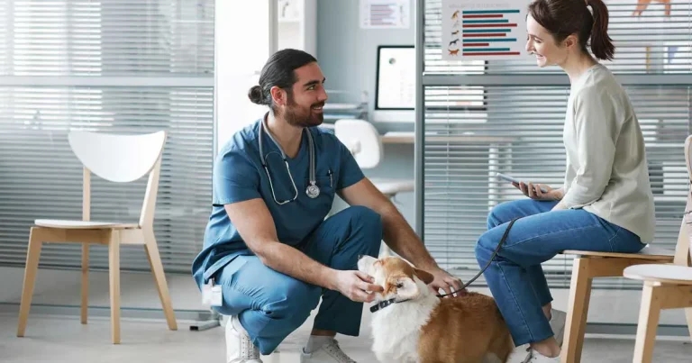 Navigating uncertainty and trade-offs in pet parasite control