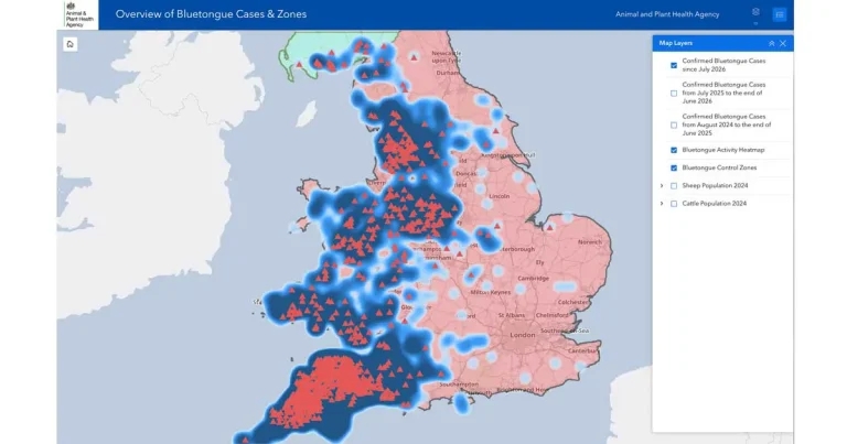 UK bluetongue cases top 1,000