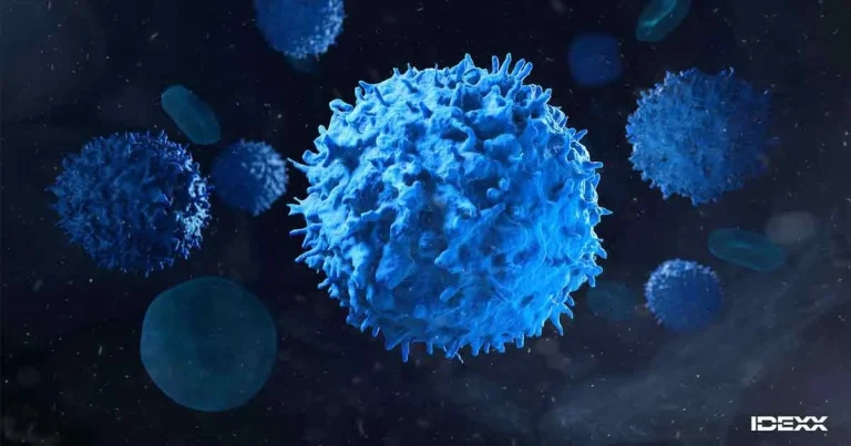 Incorporate cancer screening into routine consultation, urges leading oncologist