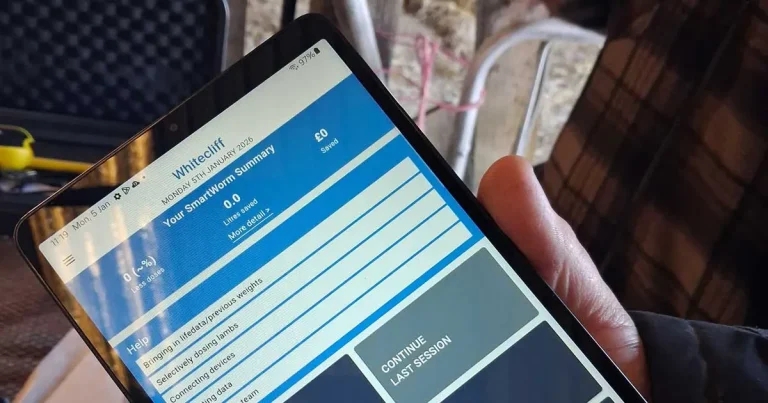 App trial raises sustainable sheep farming hope