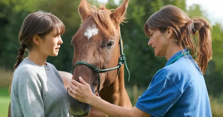 General anaesthesia: can safety be improved in equine situations?