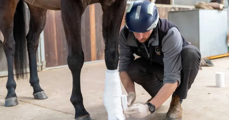 BEVA unveils new splinting guide