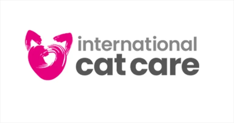 iCatCare launches feline behavioural course