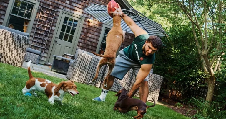 Vet-developed dog food named NFL’s first pet food partner