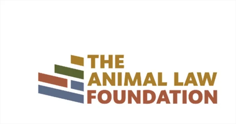 Government accused of ‘two-tier’ approach to animal welfare