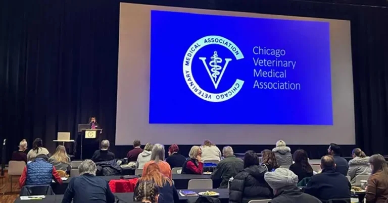 Chicago VMA celebrates 130th anniversary