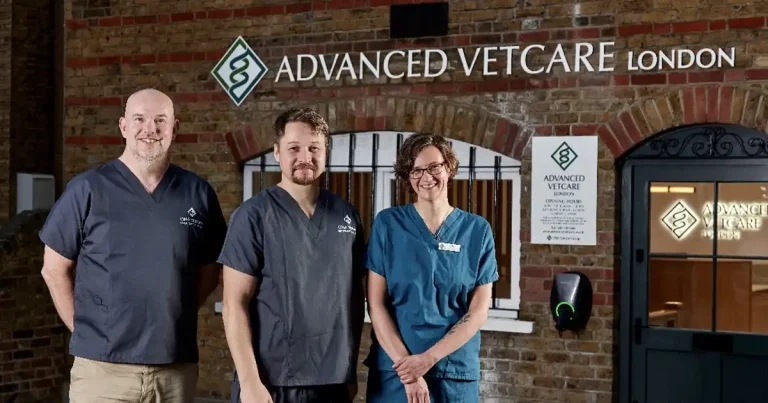 DNA Vetcare opens London referral centre