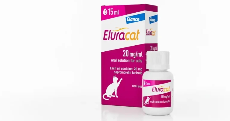 Elanco unveils new weight gain treatment for chronically ill cats