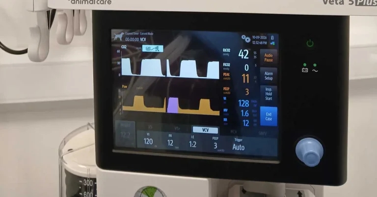 The future of anaesthesia: rethinking ventilation
