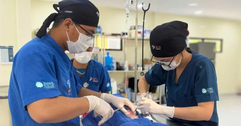 Young vets invited to Cambodia as international training centre opens