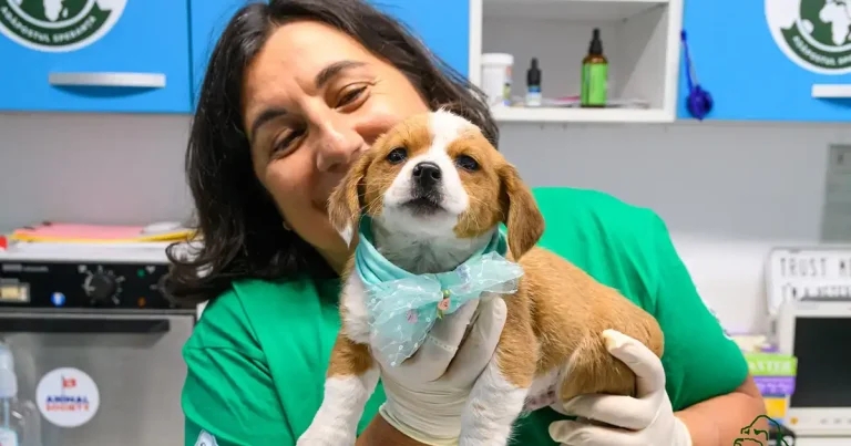 Vet-led rescue centre celebrates 30th anniversary