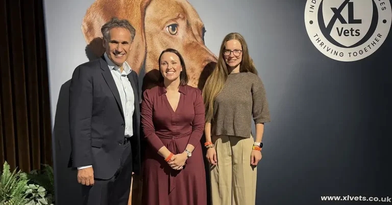 Vets unite for AI in practice day