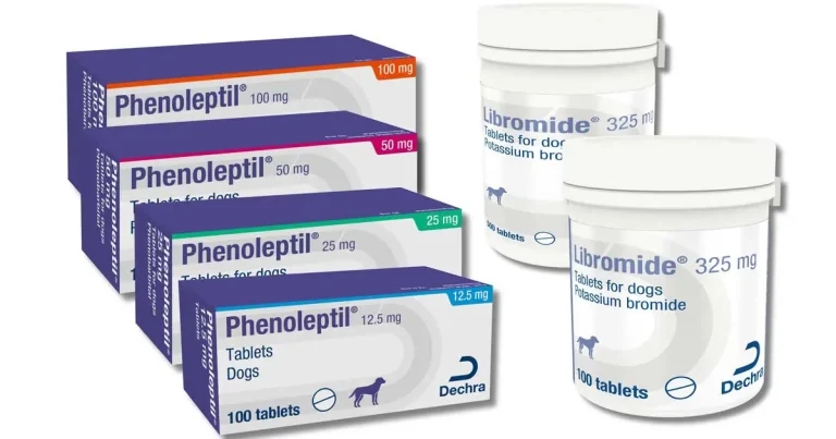 Canine epilepsy treatment back in stock