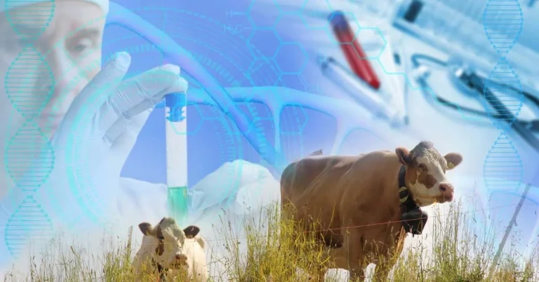 New year warning issued over bluetongue threat